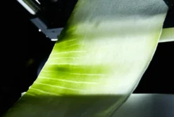 Lurch Germany Gemüsebahnen-Schneider Catto Iron Grey/weiß -Kaufland Verkäufe 066ae9b4b97f7b9b868eb876a4fe38d1