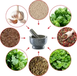 Zeller Mörser & Stößel-Set, Granit, Anthrazit Ø13x8 7 Zeller Mörser & Stößel-Set, Granit, Anthrazit Ø13x8 -Kaufland Verkäufe 22939616e8810df16e9c7bd8b210f385