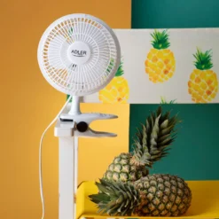 Adler 2 In 1 Tischventilator | Standventilator | Clipventilator | Ø15 Cm | 2 Laufgeschwindigkeiten | 30 Watt -Kaufland Verkäufe 28f07c0a123f48f64b0bc40af51be792