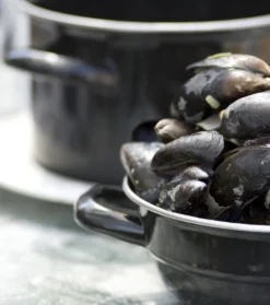 Muscheltopf Für Ca. 1,5 - 2KG Muscheln 20cm -Kaufland Verkäufe 3e5ad36e0d3749bf7d1a723a1f1429c4
