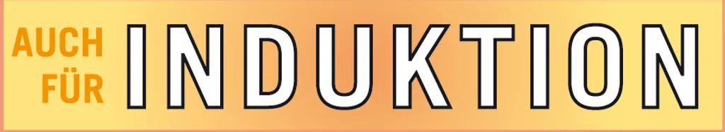 GSW Fleischtopf Profi-Black-Star Mit Glasdeckel 24cm 5 GSW Fleischtopf Profi-Black-Star Mit Glasdeckel 24cm – Bild 3