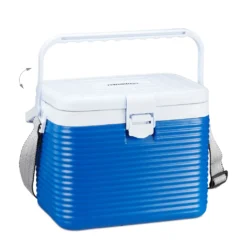 Relaxdays Kühlbox Klein 8 Liter -Kaufland Verkäufe 53f3e11072c6a09001b01672e6546093