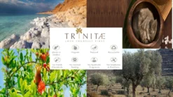 Villeroy & Boch 2 X Wasserkelch Set 4tlg. Opfeera Vorteilsset 2 X Art. Nr. 1137898100 Und Gratis 1 Trinitae Körperpflegeprodukt 16 Villeroy & Boch 2 X Wasserkelch Set 4tlg. Opfeera Vorteilsset 2 X Art. Nr. 1137898100 Und Gratis 1 Trinitae Körperpflegeprodukt -Kaufland Verkäufe 67077e59e1a1032d5c820cf4eae4ab17 2