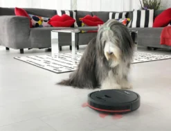 Vileda VR 201 PetPro Saugroboter Für Tierhaare Geeignet Bis Zu 90 Minuten Akku 39 Vileda VR 201 PetPro Saugroboter Für Tierhaare Geeignet Bis Zu 90 Minuten Akku -Kaufland Verkäufe 6fc8aba4b55a9f90f18f721bf5cef775