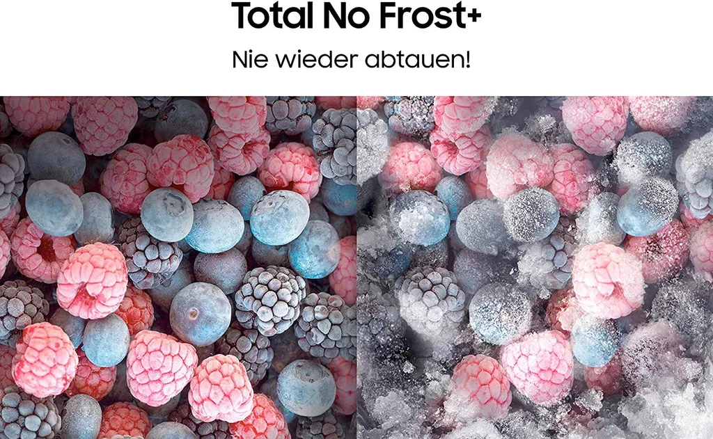 Samsung RL36T600CSA/EG Kühl-Gefrierkombinationen - Edelstahl-Optik 6 Samsung RL36T600CSA/EG Kühl-Gefrierkombinationen - Edelstahl-Optik – Bild 4