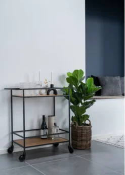 Vita Barwagen 8 Vita Barwagen -Kaufland Verkäufe 7d3e6cbc6583d93d9d4e0fee83a6b0eb