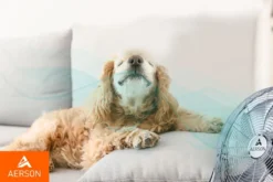 AERSON Bodenventilator 100W 40cm Windmaschine Tischventilator Ventilator Standventilator -Kaufland Verkäufe 81d9c642b8243a556548050a0990cf41