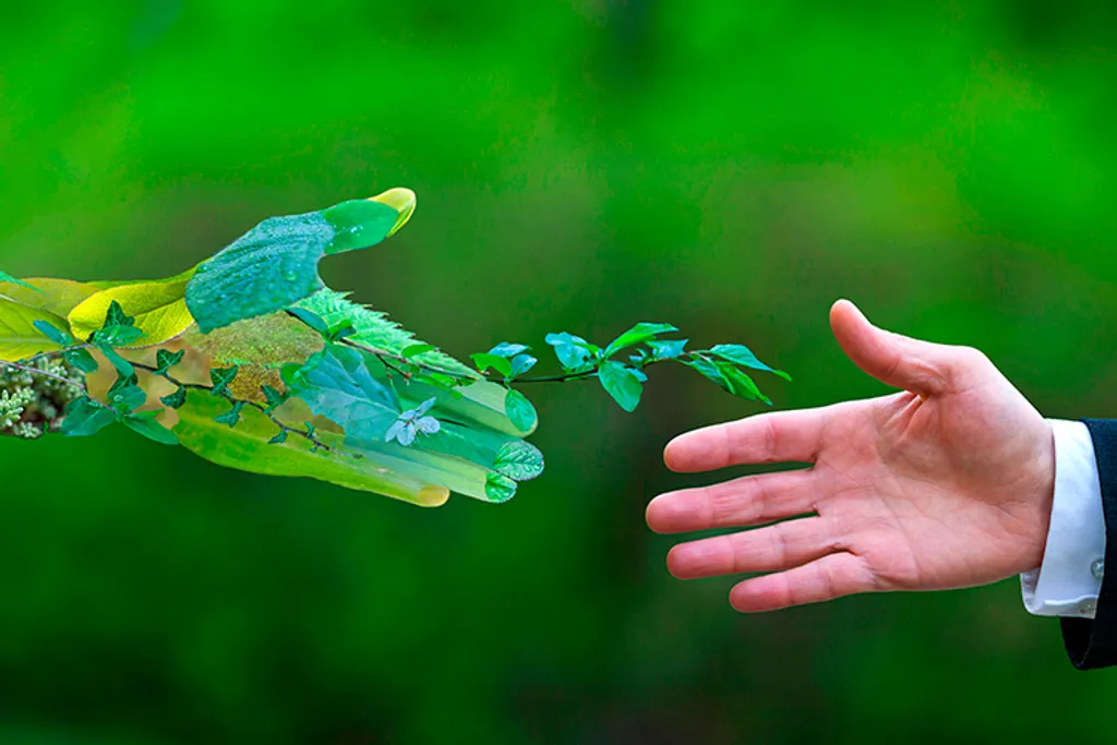 BiOHY Ultraschallreiniger (2x1l Flasche) + Dosierer | Intensive Und Materialschonende Reinigung Von Brillen, Dentalprodukte, Gold, Münzen Und Schmuck| KONZENTRAT Für Ultraschallbad 10 BiOHY Ultraschallreiniger (2x1l Flasche) + Dosierer | Intensive Und Materialschonende Reinigung Von Brillen, Dentalprodukte, Gold, Münzen Und Schmuck| KONZENTRAT Für Ultraschallbad – Bild 8