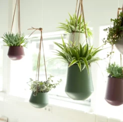 PRESENT TIME Hängetopf Skittle15 X 13,5 Cm Keramik Grün 8 PRESENT TIME Hängetopf Skittle15 X 13,5 Cm Keramik Grün -Kaufland Verkäufe 8f172be449f02b99787cd7889308bd14