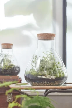 Mica Decorations Emily Vorratsglas - H32 X Ø29,5 Cm - Transparent 20 Mica Decorations Emily Vorratsglas - H32 X Ø29,5 Cm - Transparent -Kaufland Verkäufe a9f7625d673e1ef6ea2b9778e30f072c