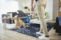 Rowenta RH9474, Trocken, Zyklonal, 82 DB, Beutellos, Orange, Weiß, Tätigkeit -Kaufland Verkäufe c43130de6d90f40691762650a58634bf