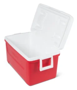 Igloo Kühler Laguna 48passiv 45 Liter Rot 12 Igloo Kühler Laguna 48passiv 45 Liter Rot -Kaufland Verkäufe c51bb359abd11eef7d7cfe0cb9f15020