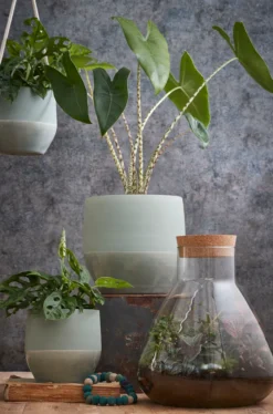 Mica Decorations Emily Vorratsglas - H32 X Ø29,5 Cm - Transparent 18 Mica Decorations Emily Vorratsglas - H32 X Ø29,5 Cm - Transparent -Kaufland Verkäufe c77d52452abee1b3b34a268c31c0f2c3