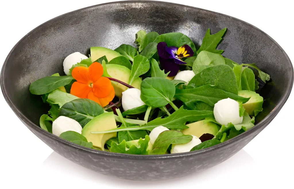 Sänger SÄNGER Salatschale Tombey 3 Sänger SÄNGER Salatschale Tombey