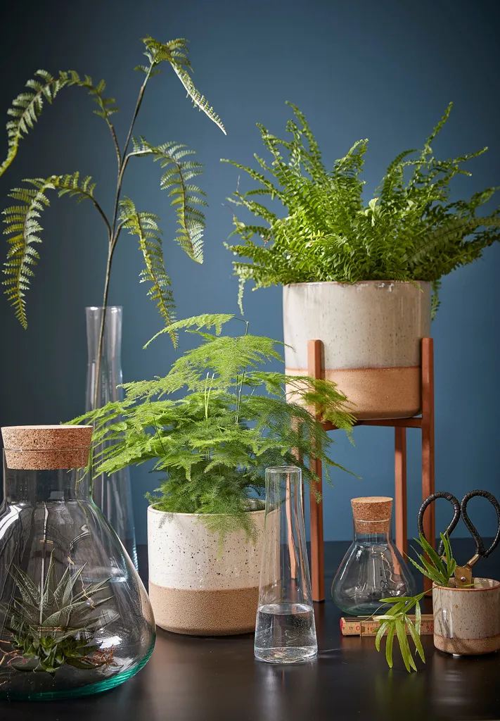 Mica Decorations Emily Vorratsglas - H32 X Ø29,5 Cm - Transparent 12 Mica Decorations Emily Vorratsglas - H32 X Ø29,5 Cm - Transparent – Bild 10