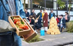 Brick 800 13 24 Brick 800 13 -Kaufland Verkäufe df0240434185d6c305c6beafdb12c382