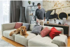 Hoover MBC500UV, Ultra Vortex Mattress Cleaner, Red, White -Kaufland Verkäufe dfd17084f300e798d02e8999580ea56e