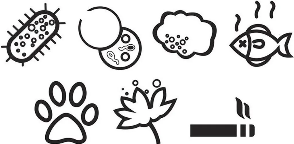 HONEYWELL AirGenius 5 Luftreiniger Schwarz (58 Watt, Raumgröße: 112 M3, IfD) 12 HONEYWELL AirGenius 5 Luftreiniger Schwarz (58 Watt, Raumgröße: 112 M3, IfD) – Bild 10